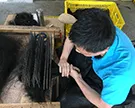 Raw material patting Raw material patting
