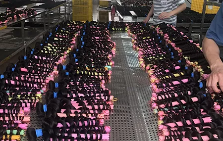 What we can ensure you What we can ensure you