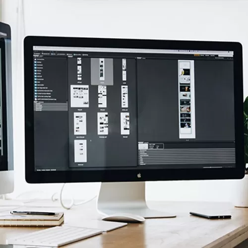 Establishing a website